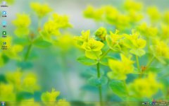 嫩黄色植物Win7主题