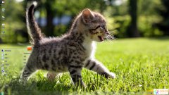 散步的小猫咪Win7主题