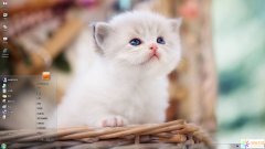 可爱加菲猫Win7主题